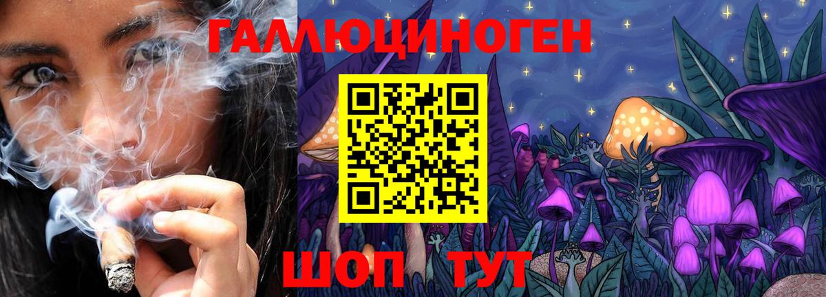 Северск  Псилоцибиновые грибы GOLDEN TEACHER  Галлюциногенные грибы Magic Shrooms  цена   Вход с VPN 
